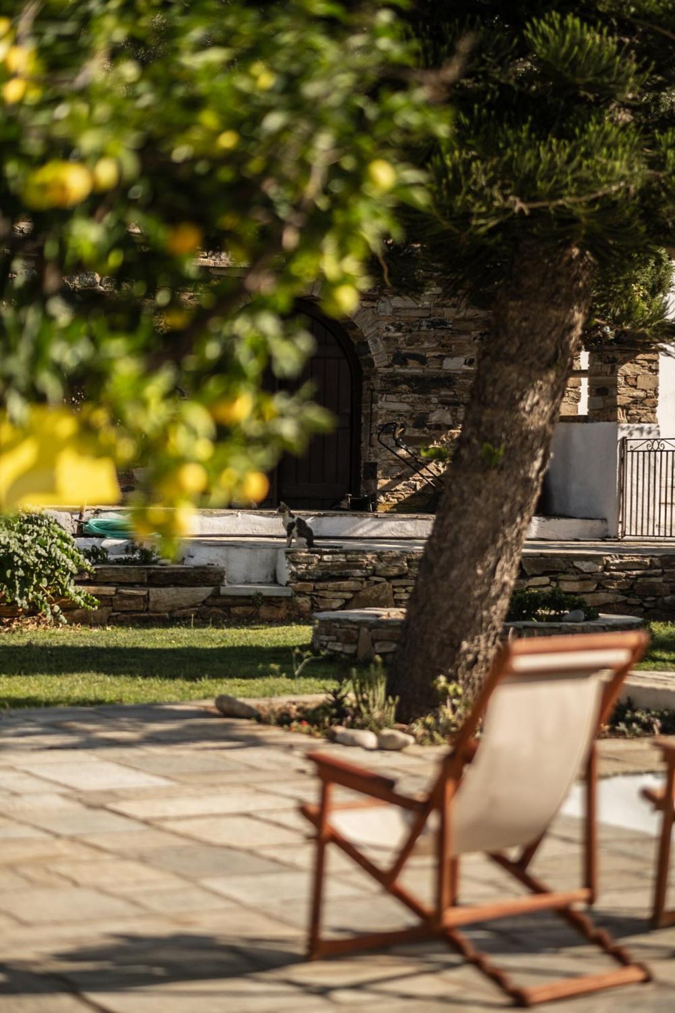 Romano Garden House - Land Tales Agios Romanos Exterior photo